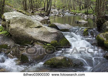"La Daronne mountain stream in the Ardeche, Saint-Felicien, Rhone-Alpes, France, Europe" View Large Photo Image Stock Image - "La Daronne mountain stream in the Ardeche, Saint-Felicien, Rhone-Alpes, France, Europe". Fotosearch