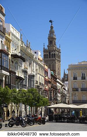 "La Giralda bell tower, Barrio de Santa Cruz, Seville, Andalucia, Spain, Europe" View Large Photo Image Stock Image - "La Giralda bell tower, Barrio de Santa Cruz, Seville, Andalucia, Spain, Europe". Fotosearch
