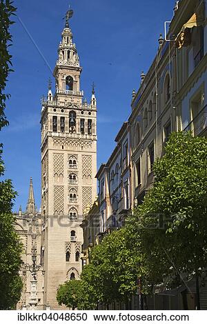 "La Giralda bell tower of the Seville Cathedral, Seville, Andalucia, Spain, Europe" View Large Photo Image Stock Image - "La Giralda bell tower of the Seville Cathedral, Seville, Andalucia, Spain, Europe". Fotosearch