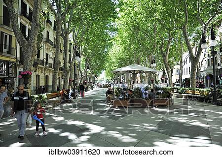 "La Rambla, Palma de Mallorca, Majorca, Balearic Islands, Spain, Europe" View Large Photo Image Stock Image - "La Rambla, Palma de Mallorca, Majorca, Balearic Islands, Spain, Europe". Fotosearch