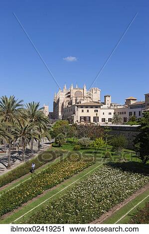 La Seu Cathedral, historic town centre, Palma de Mallorca, Majorca, Balearic Islands, Spain, Europe View Large Photo Image Stock Image - La Seu Cathedral, historic town centre, Palma de Mallorca, Majorca, Balearic Islands, Spain, Europe. Fotosearch