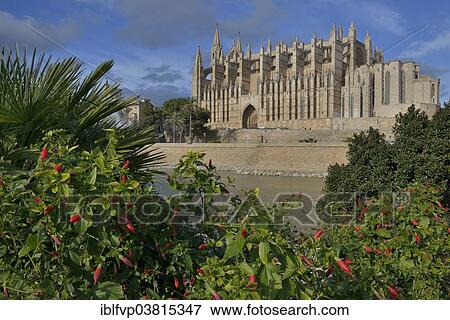 "La Seu Cathedral, Palma Cathedral, Palma, Majorca, Balearic Islands, Spain, Europe" View Large Photo Image Stock Photo - "La Seu Cathedral, Palma Cathedral, Palma, Majorca, Balearic Islands, Spain, Europe". Fotosearch