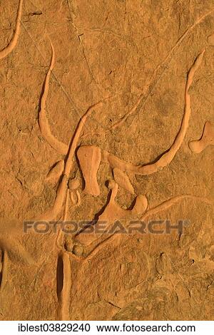 "La vache qui pleure, rock engraving of a crying cow, neolithic rock art near Djanet, Tassili N´Ajjer National Park, Unesco World Heritage Site, Algeria, Sahara, North Africa, Africa" View Large Photo Image Stock Image - "La vache qui pleure, rock engraving of a crying cow, neolithic rock art near Djanet, Tassili N´Ajjer National Park, Unesco World Heritage Site, Algeria, Sahara, North Africa, Africa". Fotosearch