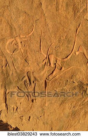 "La vache qui pleure, rock engraving of a crying cow, neolithic rock art near Djanet, Tassili N´Ajjer National Park, Unesco World Heritage Site, Algeria, Sahara, North Africa, Africa" View Large Photo Image Stock Image - "La vache qui pleure, rock engraving of a crying cow, neolithic rock art near Djanet, Tassili N´Ajjer National Park, Unesco World Heritage Site, Algeria, Sahara, North Africa, Africa". Fotosearch