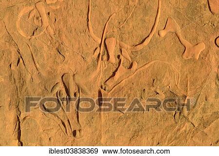 "La vache qui pleure, rock engraving of a crying cow, neolithic rock art near Djanet, Tassili N´Ajjer National Park, Unesco World Heritage Site, Algeria, Sahara, North Africa, Africa" View Large Photo Image Stock Photo - "La vache qui pleure, rock engraving of a crying cow, neolithic rock art near Djanet, Tassili N´Ajjer National Park, Unesco World Heritage Site, Algeria, Sahara, North Africa, Africa". Fotosearch