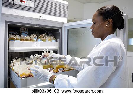 "Lab technician opening a refrigerator with blood supplies, Red Cross blood donation centre, Port-au-Prince, Haiti, North America" View Large Photo Image Stock Image - "Lab technician opening a refrigerator with blood supplies, Red Cross blood donation centre, Port-au-Prince, Haiti, North America". Fotosearch