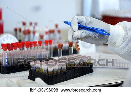"Lab technician with blood samples in a laboratory, Red Cross blood donation centre, Port-au-Prince, Haiti, North America" View Large Photo Image Stock Photo - "Lab technician with blood samples in a laboratory, Red Cross blood donation centre, Port-au-Prince, Haiti, North America". Fotosearch