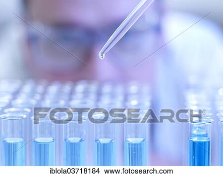 "Laboratory assistant dripping liquid with a pipette into test tubes, Germany, Europe" View Large Photo Image Picture - "Laboratory assistant dripping liquid with a pipette into test tubes, Germany, Europe". Fotosearch