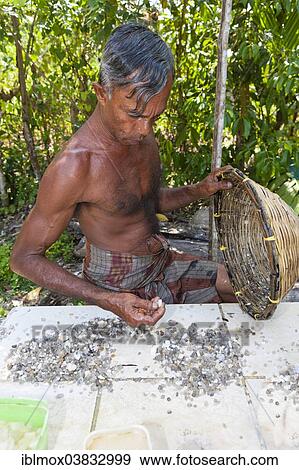 Stock Photo - "Labourer sorting moonstones from the sand, Moonstone Mine, Nindana, Southern Province, Eranawila Region, Sri Lanka, Asia". Fotosearch