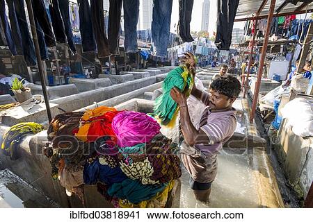Stock Image - "Labourer washing clothes at Mahalaxmi Dhobi Ghat, laundry district of Mumbai, Maharashtra, India, Asia". Fotosearch