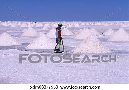 "Labourer working at saltworks, salt lake Salar de Uyuni, Altiplano, Bolivia, South America" View Large Photo Image Stock Image - "Labourer working at saltworks, salt lake Salar de Uyuni, Altiplano, Bolivia, South America". Fotosearch