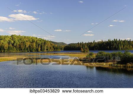 "Lac Monroe, lakes and woodland landscape, Mont-Tremblant National Park, Quebec Province, Canada, North America" View Large Photo Image Stock Photo - "Lac Monroe, lakes and woodland landscape, Mont-Tremblant National Park, Quebec Province, Canada, North America". Fotosearch