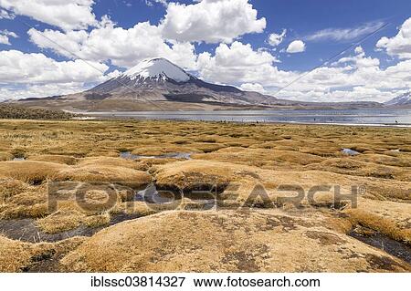 "Lago Chungara lake, Lauca National Park, northern Chile" View Large Photo Image Stock Photo - "Lago Chungara lake, Lauca National Park, northern Chile". Fotosearch