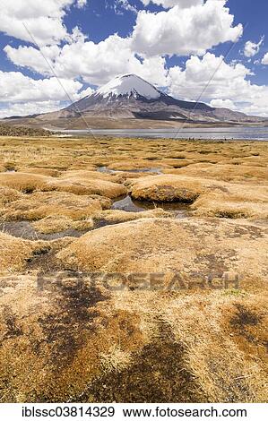 Stock Photo - "Lago Chungara lake, Lauca National Park, northern Chile". Fotosearch