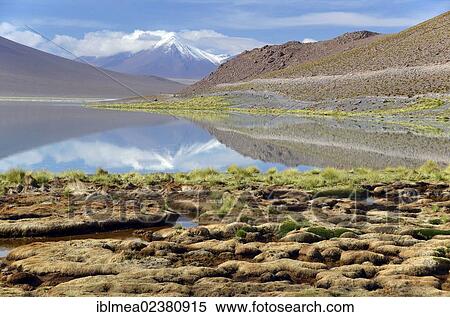 Stock Photography - "Lagoon on the Altiplano, at Uyuni, Bolivia, Andes, South America". Fotosearch