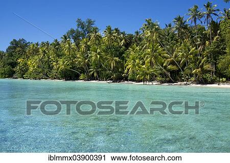 "Lagoon with a sandy beach and palm trees, Peleliu, Palau, Micronesia, Oceania" View Large Photo Image Stock Image - "Lagoon with a sandy beach and palm trees, Peleliu, Palau, Micronesia, Oceania". Fotosearch