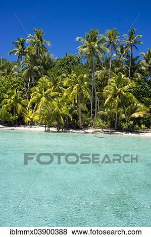 "Lagoon with a sandy beach and palm trees, Peleliu, Palau, Micronesia, Oceania" View Large Photo Image Stock Photo - "Lagoon with a sandy beach and palm trees, Peleliu, Palau, Micronesia, Oceania". Fotosearch
