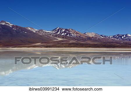 "Laguna Blanca, Altiplano, Potosi, Bolivia, South America" View Large Photo Image Picture - "Laguna Blanca, Altiplano, Potosi, Bolivia, South America". Fotosearch