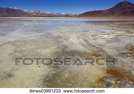 "Laguna Blanca, Altiplano, Potosi, Bolivia, South America" View Large Photo Image Stock Image - "Laguna Blanca, Altiplano, Potosi, Bolivia, South America". Fotosearch