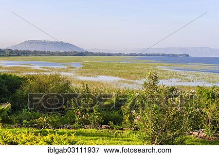 "Lake Awasa, Awasa, Ethiopia, Africa" View Large Photo Image Stock Photo - "Lake Awasa, Awasa, Ethiopia, Africa". Fotosearch