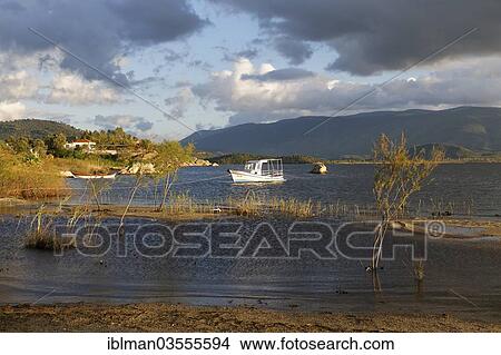Picture - "Lake Bafa, lake shore in the evening light, Lake Bafa, Kapikiri, Mugla Province, Aegean region, Turkey, Asia". Fotosearch