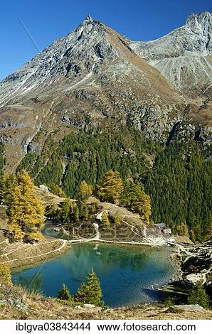 "Lake Blausee or Lac Bleu, Petite Dent de Veisivi mountain at the back, Val d'Herens valley, Arolla, Canton of Valais, Switzerland, Europe" View Large Photo Image Picture - "Lake Blausee or Lac Bleu, Petite Dent de Veisivi mountain at the back, Val d'Herens valley, Arolla, Canton of Valais, Switzerland, Europe". Fotosearch