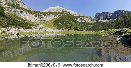 "Lake Brunnsteinersee, Wurzeralm alp, Spital am Pyhrn, Pyhrn-Priel, Traunviertel region, Upper Austria, Austria, Europe" View Large Photo Image Stock Photo - "Lake Brunnsteinersee, Wurzeralm alp, Spital am Pyhrn, Pyhrn-Priel, Traunviertel region, Upper Austria, Austria, Europe". Fotosearch
