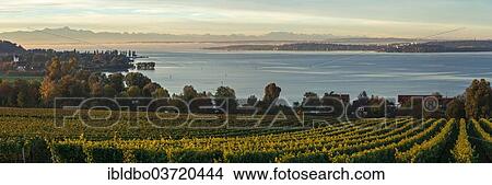 "Lake Constance with an Alpine panorama at sunrise, Birnau, Bodenseekreis, Baden-Wurttemberg, Germany, Europe" View Large Photo Image Picture - "Lake Constance with an Alpine panorama at sunrise, Birnau, Bodenseekreis, Baden-Wurttemberg, Germany, Europe". Fotosearch