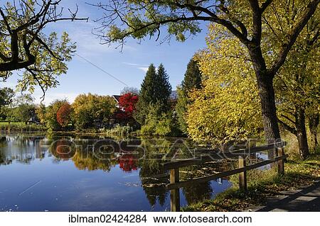 Lake Degerndorfer Weiher, Degerndorf, Muensing, Fuenfseenland region, Upper Bavaria, Bavaria, Germany, Europe View Large Photo Image Picture - Lake Degerndorfer Weiher, Degerndorf, Muensing, Fuenfseenland region, Upper Bavaria, Bavaria, Germany, Europe. Fotosearch