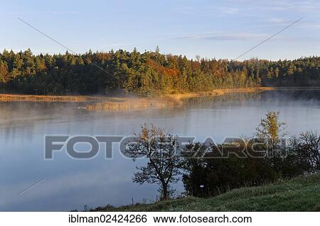 Lake Fohnsee in the early morning, in autumn, Osterseen lakes, Iffeldorf, Alpine foreland, Fuenfseenland region, Upper Bavaria, Bavaria, Germany, Europe View Large Photo Image Stock Photograph - Lake Fohnsee in the early morning, in autumn, Osterseen lakes, Iffeldorf, Alpine foreland, Fuenfseenland region, Upper Bavaria, Bavaria, Germany, Europe. Fotosearch