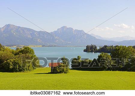 "Lake Forggen, Fussen, Allgau, Upper Bavaria, Bavaria, Germany, Europe" View Large Photo Image Stock Image - "Lake Forggen, Fussen, Allgau, Upper Bavaria, Bavaria, Germany, Europe". Fotosearch