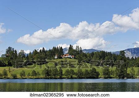 "Lake Gleinkersee, Spital am Pyhrn, Pyhrn-Priel, Traunviertel region, Upper Austria, Austria, Europe" View Large Photo Image Stock Photography - "Lake Gleinkersee, Spital am Pyhrn, Pyhrn-Priel, Traunviertel region, Upper Austria, Austria, Europe". Fotosearch