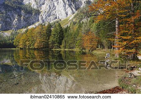 "Lake Hinterer Langbathsee, Ebensee, Salzkammergut region, Upper Austria, Austria, Europe" View Large Photo Image Stock Photography - "Lake Hinterer Langbathsee, Ebensee, Salzkammergut region, Upper Austria, Austria, Europe". Fotosearch
