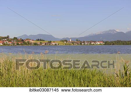 Stock Photography - "Lake Hopfensee with Hopfen am See, Hopfen am See, Hopfen am See, Allgau, Upper Bavaria, Bavaria, Germany, Europe". Fotosearch