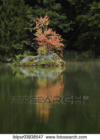 "Lake in autumn, Kramsach, Tyrolean Unterland, Tyrol, Austria, Europe" View Large Photo Image Stock Photo - "Lake in autumn, Kramsach, Tyrolean Unterland, Tyrol, Austria, Europe". Fotosearch
