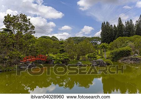 "Lake in the Japanese Garden at the Jardin Botanico National Dr. Rafael Maria Moscoso, National Botanical garden, Santo Domingo, Hispaniola Island, Greater Antilles" View Large Photo Image Stock Image - "Lake in the Japanese Garden at the Jardin Botanico National Dr. Rafael Maria Moscoso, National Botanical garden, Santo Domingo, Hispaniola Island, Greater Antilles". Fotosearch