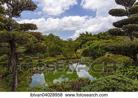 "Lake in the Japanese Garden at the Jardin Botanico National Dr. Rafael Maria Moscoso, National Botanical garden, Santo Domingo, Hispaniola Island, Greater Antilles" View Large Photo Image Stock Photo - "Lake in the Japanese Garden at the Jardin Botanico National Dr. Rafael Maria Moscoso, National Botanical garden, Santo Domingo, Hispaniola Island, Greater Antilles". Fotosearch