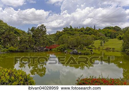 "Lake in the Japanese Garden at the Jardin Botanico National Dr. Rafael Maria Moscoso, National Botanical garden, Santo Domingo, Hispaniola Island, Greater Antilles" View Large Photo Image Stock Photo - "Lake in the Japanese Garden at the Jardin Botanico National Dr. Rafael Maria Moscoso, National Botanical garden, Santo Domingo, Hispaniola Island, Greater Antilles". Fotosearch