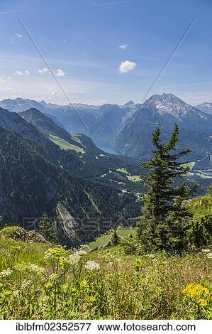 "Lake Koenigssee and Watzmann Mountain, 2713 m, view from Kehlsteinhaus or Eagle's Nest in the Alps, Berchtesgaden, Berchtesgadener Land, Bavaria, Germany, Europe" View Large Photo Image Stock Photo - "Lake Koenigssee and Watzmann Mountain, 2713 m, view from Kehlsteinhaus or Eagle's Nest in the Alps, Berchtesgaden, Berchtesgadener Land, Bavaria, Germany, Europe". Fotosearch