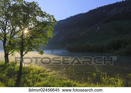 "Lake near Gosau in the morning mist with sunrays, Salzkammergut, Austria, Europe" View Large Photo Image Stock Photography - "Lake near Gosau in the morning mist with sunrays, Salzkammergut, Austria, Europe". Fotosearch
