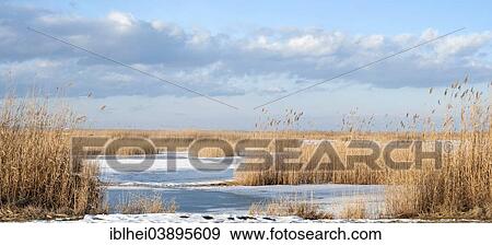 "Lake Neusiedl in winter, Burgenland, Austria, Europe" View Large Photo Image Stock Photo - "Lake Neusiedl in winter, Burgenland, Austria, Europe". Fotosearch