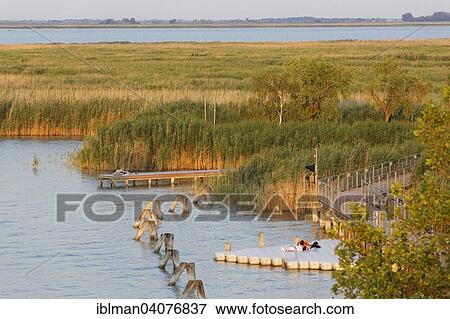 "Lake Neusiedl, near Morbisch am See, Northern Burgenland, Burgenland, Austria, Europe" View Large Photo Image Stock Photo - "Lake Neusiedl, near Morbisch am See, Northern Burgenland, Burgenland, Austria, Europe". Fotosearch