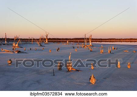 "Lake Ninan, salt lake, in morning light, Victoria Plains, Western Australia, Australia, Oceania" View Large Photo Image Picture - "Lake Ninan, salt lake, in morning light, Victoria Plains, Western Australia, Australia, Oceania". Fotosearch