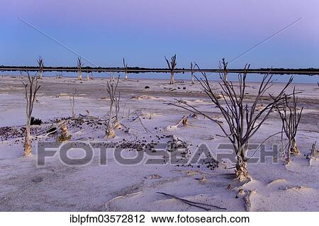 Stock Image - "Lake Ninan, salt lake, in morning light, Victoria Plains, Western Australia, Australia, Oceania". Fotosearch