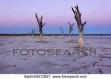 Stock Image - "Lake Ninan, salt lake, in morning light, Victoria Plains, Western Australia, Australia, Oceania". Fotosearch