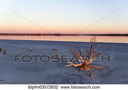 Stock Image - "Lake Ninan, salt lake, in morning light, Victoria Plains, Western Australia, Australia, Oceania". Fotosearch