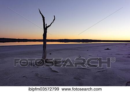 "Lake Ninan, salt lake, in morning light, Victoria Plains, Western Australia, Australia, Oceania" View Large Photo Image Stock Photo - "Lake Ninan, salt lake, in morning light, Victoria Plains, Western Australia, Australia, Oceania". Fotosearch