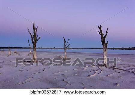 Stock Photo - "Lake Ninan, salt lake, in morning light, Victoria Plains, Western Australia, Australia, Oceania". Fotosearch