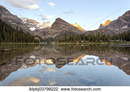 "Lake O'Hara, Yoho National Park, Canada, North America" View Large Photo Image Stock Image - "Lake O'Hara, Yoho National Park, Canada, North America". Fotosearch
