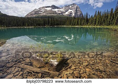 "Lake O'Hara, Yoho National Park, Canada, North America" View Large Photo Image Stock Image - "Lake O'Hara, Yoho National Park, Canada, North America". Fotosearch